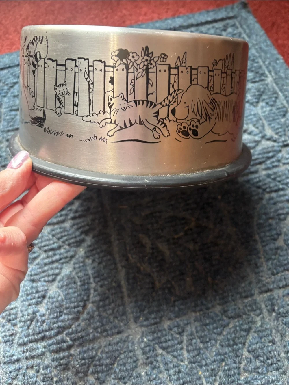 Stainless Steel Bowl with Cute Fox Illustration